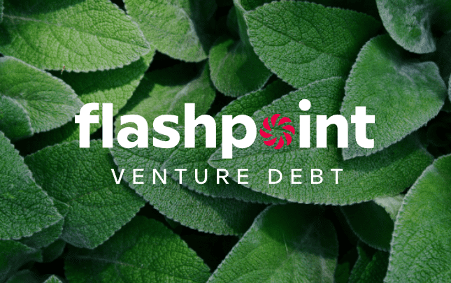 Flashpoint Venture Debt